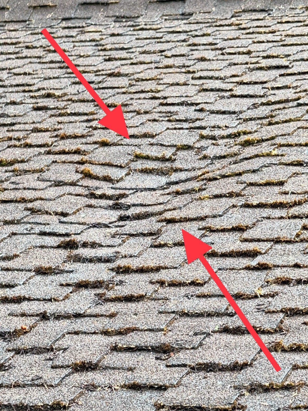Composition shingle roof at end of life — extensive granular loss, lifted shingles, and moss colonization found during a recent island home inspection.