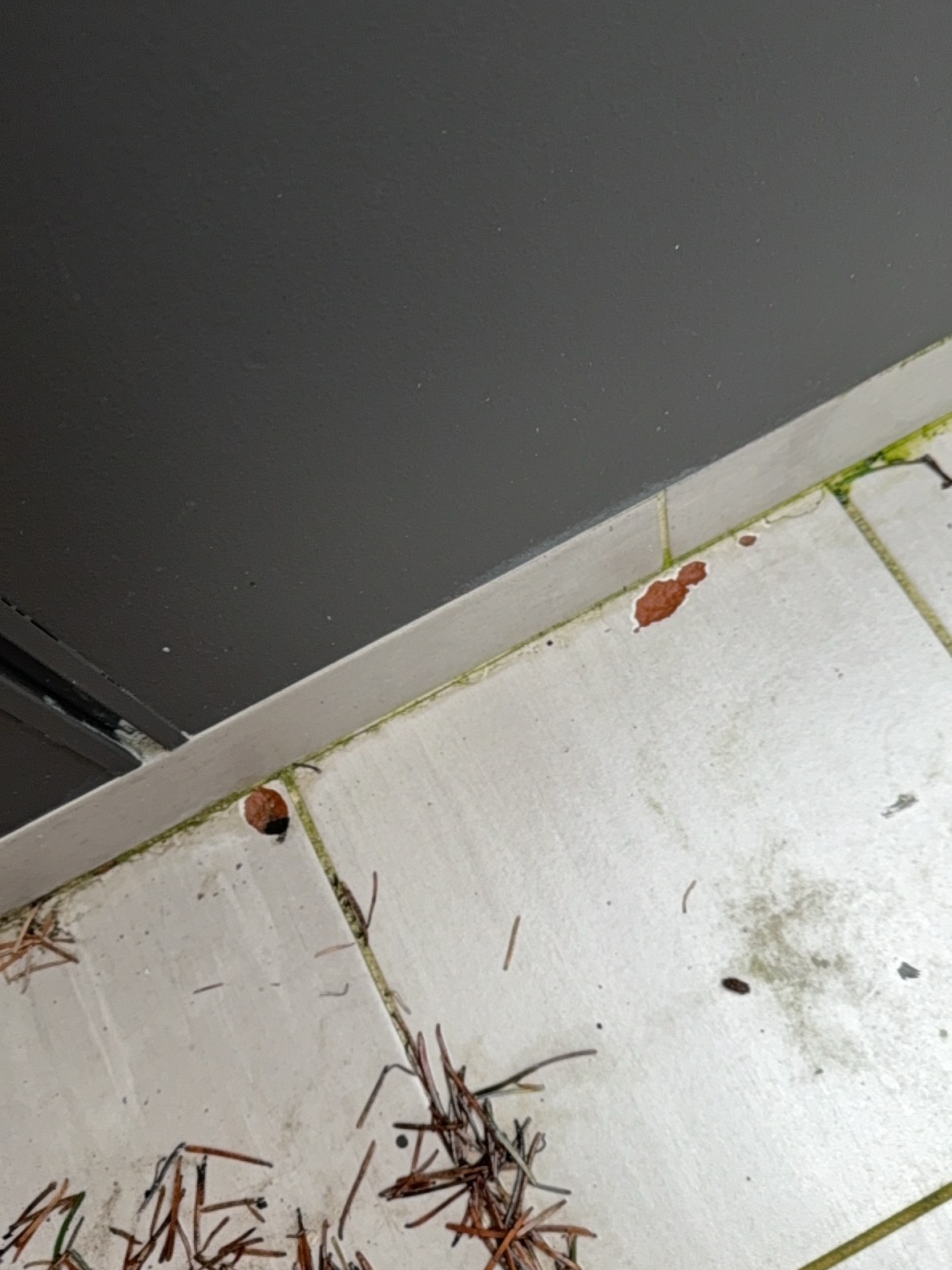 Cracked and loose tiles on the exterior tiled deck surface above — found during a recent Kirkland inspection.