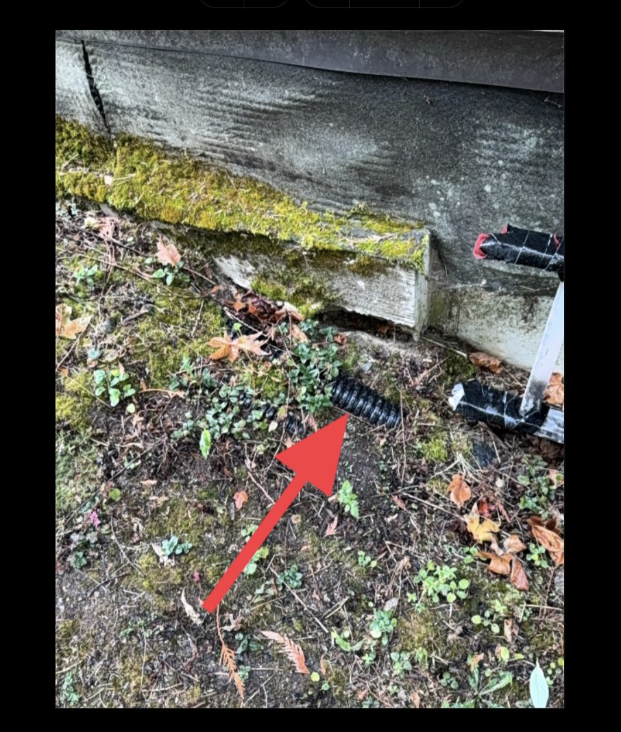 A failed corrugated drainage pipe at the foundation, discharging directly into the soil — found during a recent Port Orchard inspection.