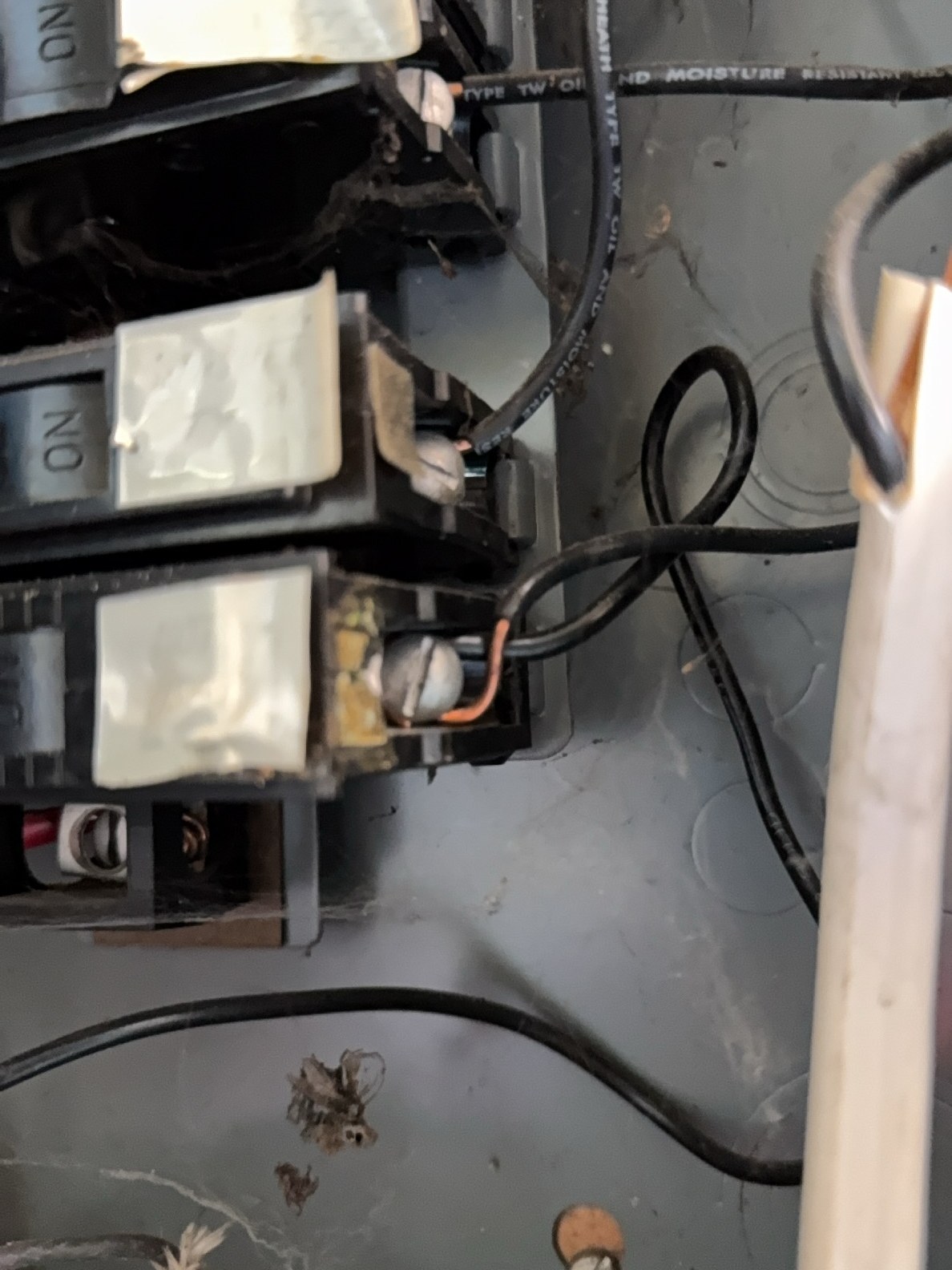 Double-tapped breakers in the electric panel — two wires under each breaker terminal, a fire-safety concern found during a recent Renton inspection.